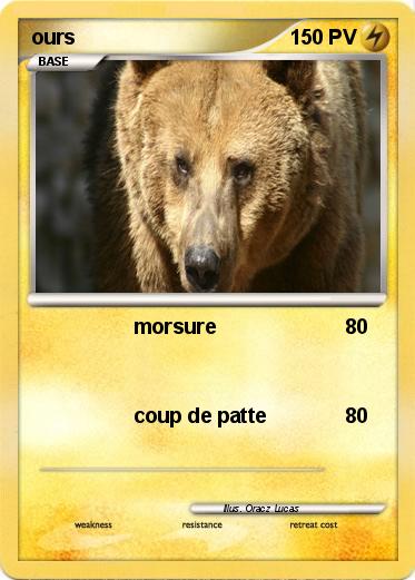 Pokemon ours