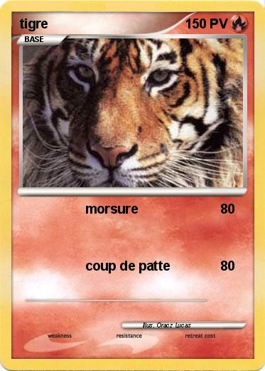 Pokemon tigre