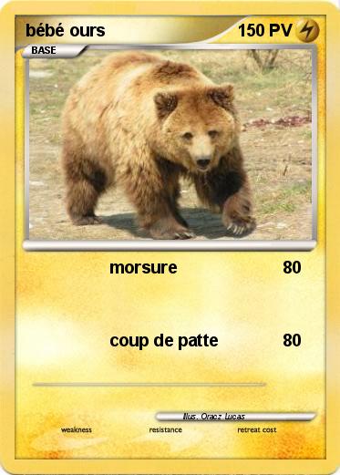 Pokemon bébé ours
