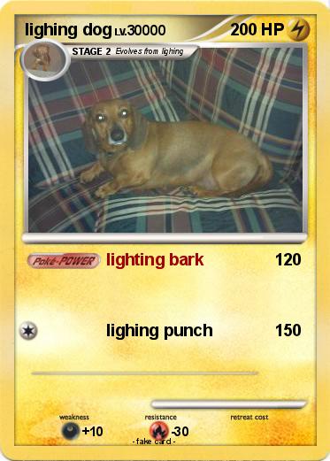 Pokemon lighing dog