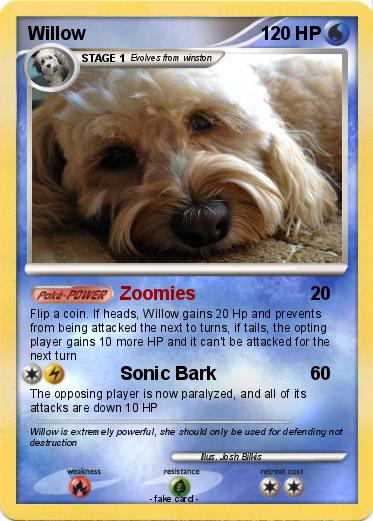 Pokemon Willow
