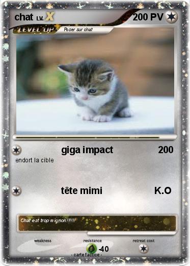 Pokemon chat
