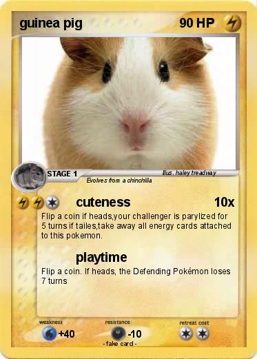 Pokemon guinea pig