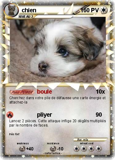 Pokemon chien
