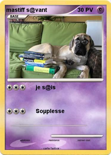 Pokemon mastiff s@vant