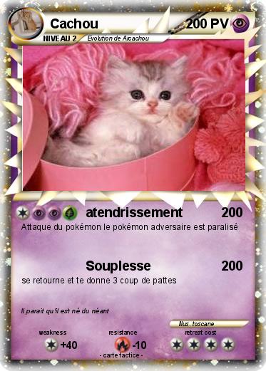 Pokemon Cachou