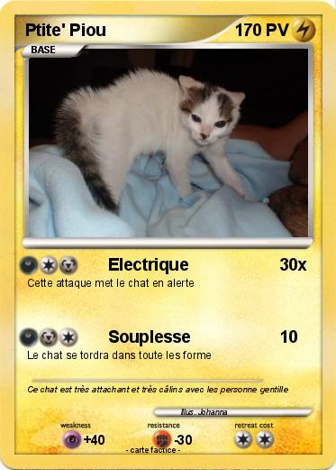 Pokemon Ptite' Piou