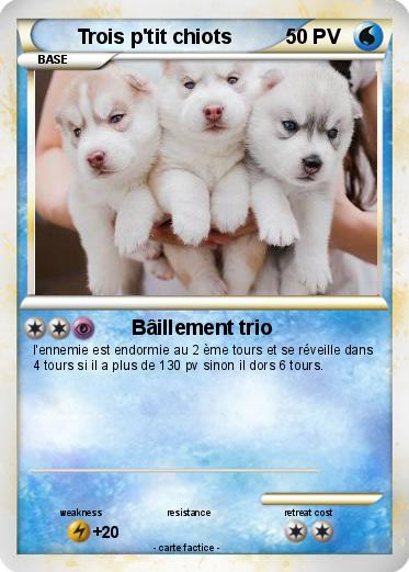 Pokemon Trois p'tit chiots
