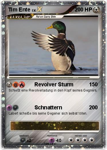 Pokemon Tim Ente