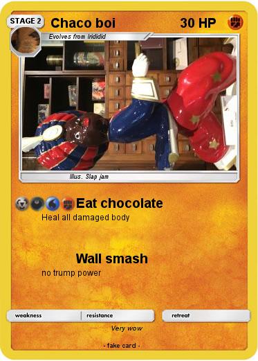Pokemon Chaco boi
