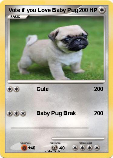 Pokemon Vote if you Love Baby Pug