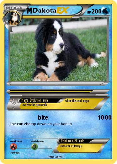 Pokemon Dakota