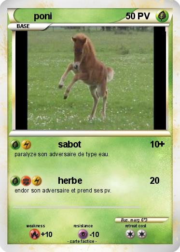 Pokemon poni