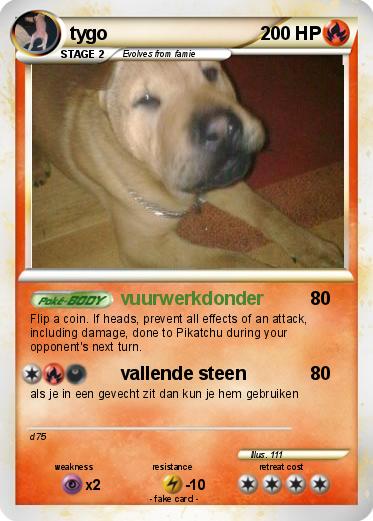 Pokemon tygo