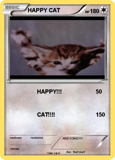 Pokemon HAPPY CAT