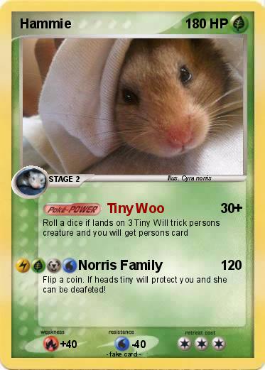 Pokemon Hammie