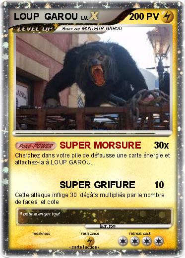 Pokemon LOUP  GAROU