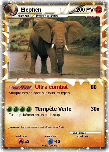Pokemon Elephen