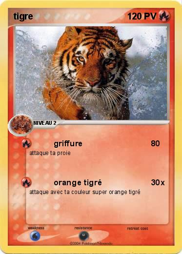 Pokemon tigre