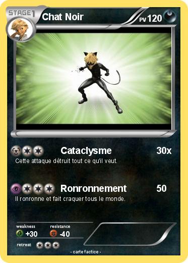 Pokemon Chat Noir