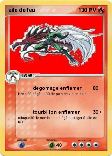 Pokemon aile de feu
