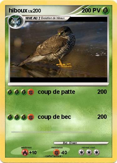 Pokemon hiboux