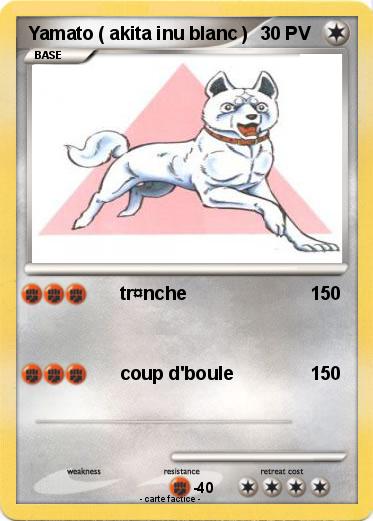 Pokemon Yamato ( akita inu blanc )