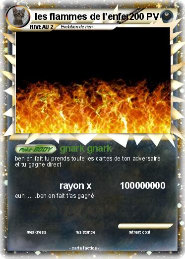 Pokemon les flammes de l'enfer