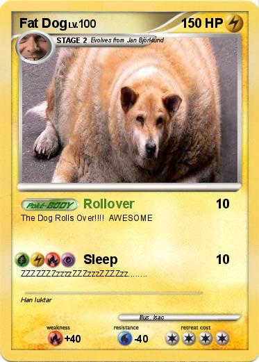 Pokemon Fat Dog