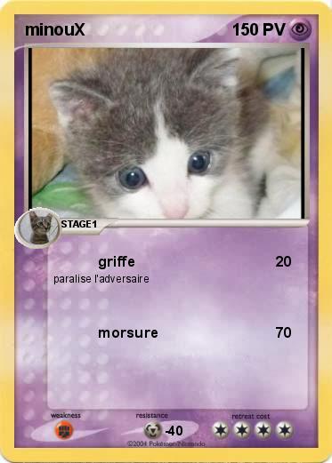 Pokemon minouX