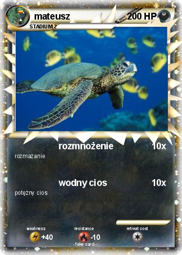 Pokemon mateusz