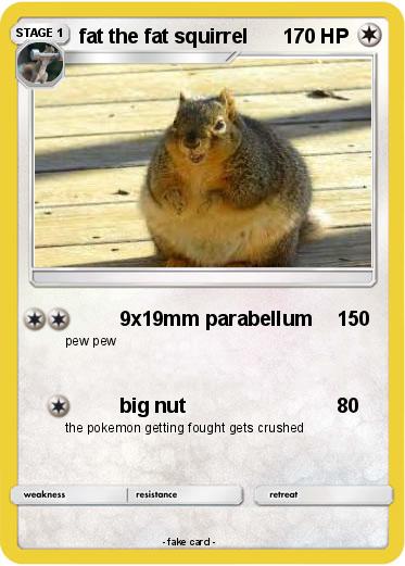 Pokemon fat the fat squirrel