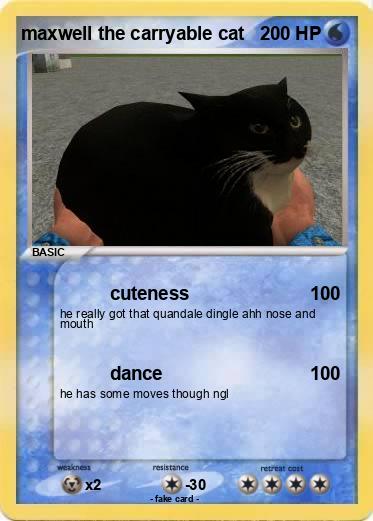 Pokemon maxwell the carryable cat