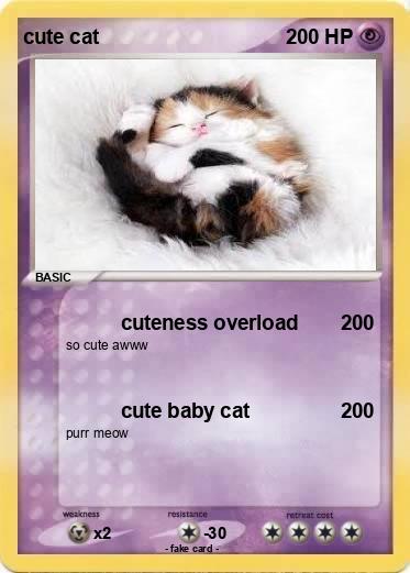 Pokemon cute cat
