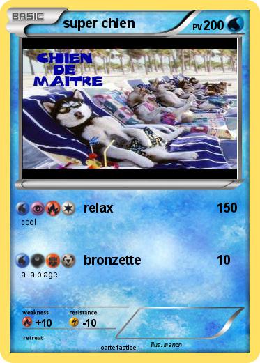 Pokemon super chien