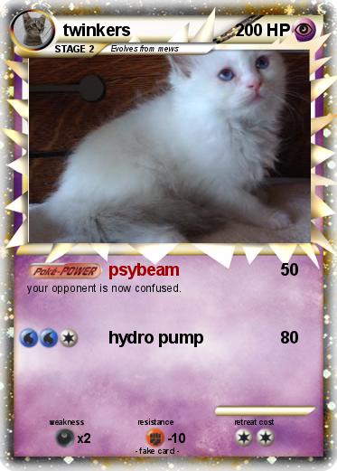Pokemon twinkers