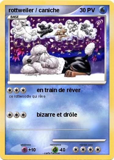 Pokemon rottweiler / caniche