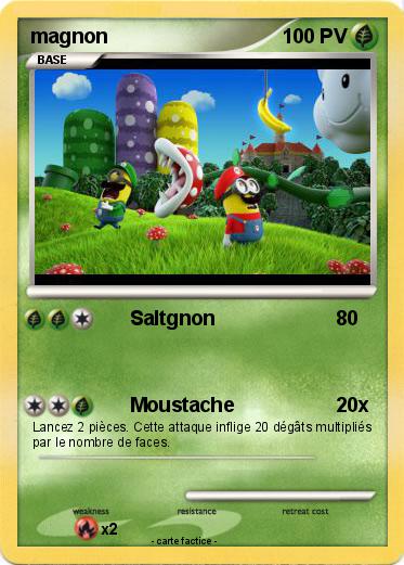 Pokemon magnon