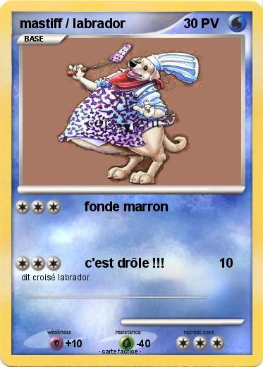 Pokemon mastiff / labrador