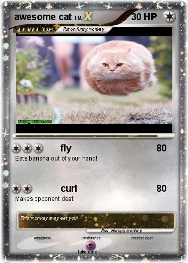 Pokemon awesome cat