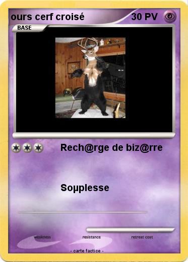 Pokemon ours cerf croisé