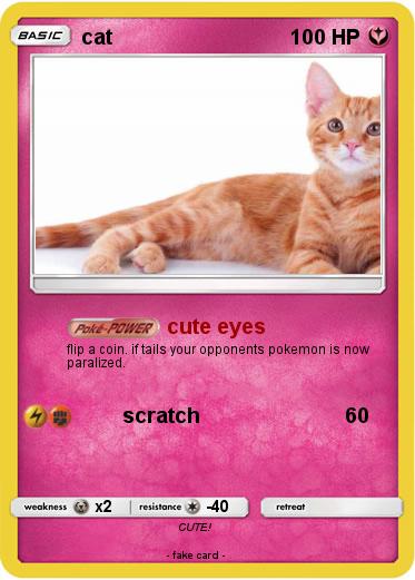 Pokemon cat