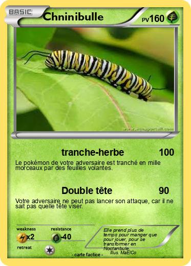 Pokemon Chninibulle