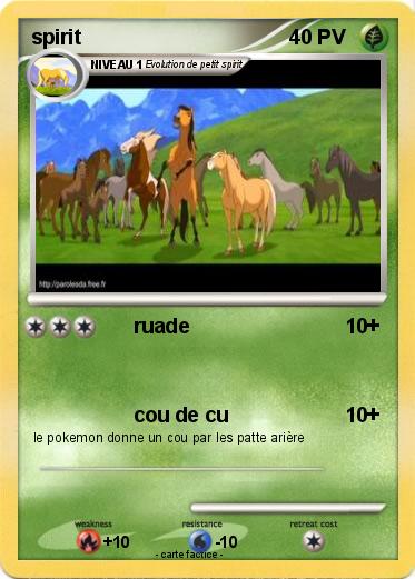 Pokemon spirit