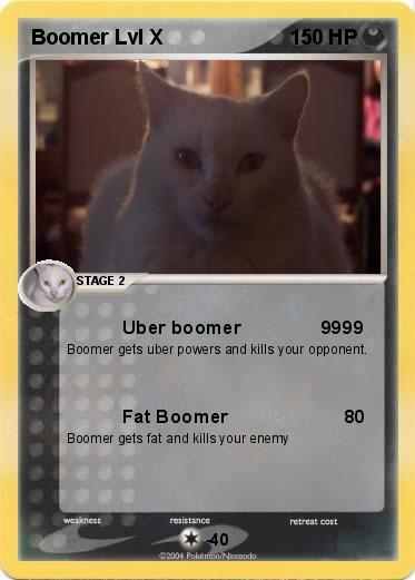 Pokemon Boomer Lvl X
