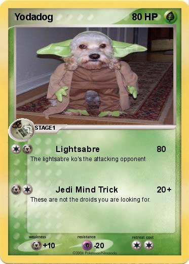 Pokemon Yodadog