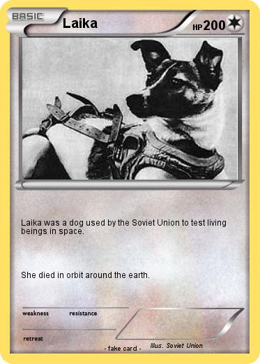 Pokemon Laika