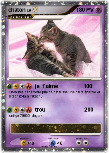 Pokemon chaton