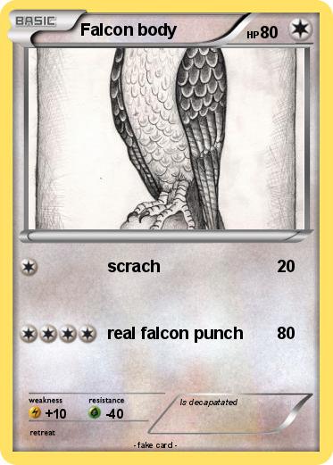 Pokemon Falcon body