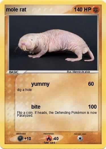 Pokemon mole rat